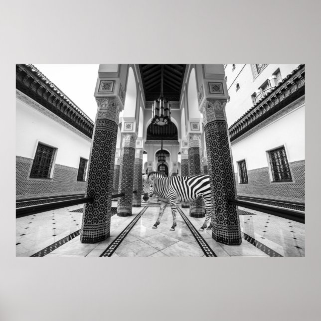 Zebra Schwarz-weiß Gebäude Landschaft Poster (Vorne)