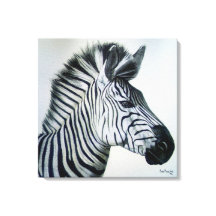 Zebra Schwarz-Weiß-Porträt groß