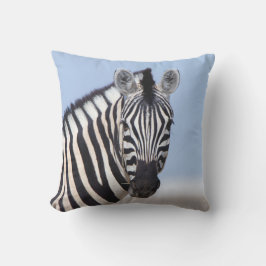 Zebra sieht dich mit blauem Himmelslicht Foto an Kissen