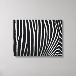 Zebra Skin Leinwanddruck