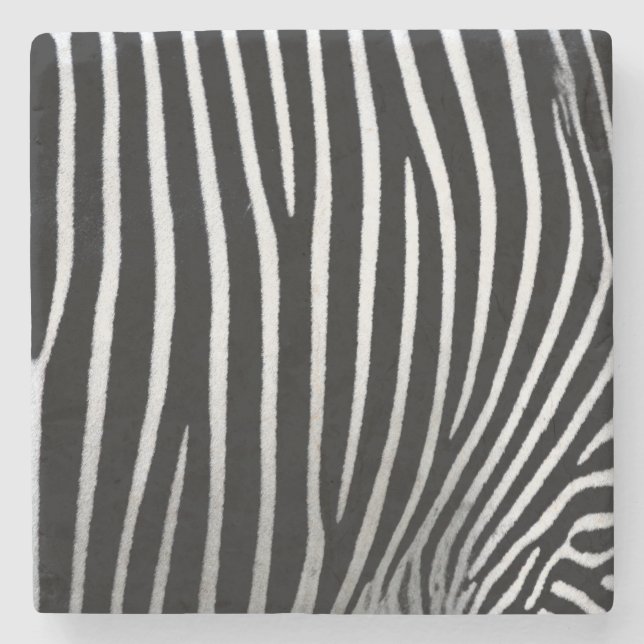 Zebra Skin Steinuntersetzer (Vorderseite)