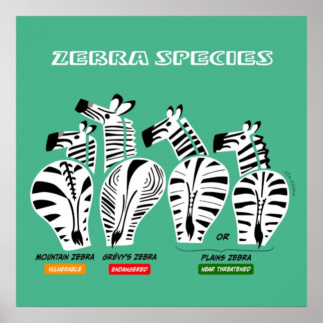 Zebra Species Art Poster (Vorne)