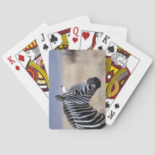 Zebra Spielkarten
