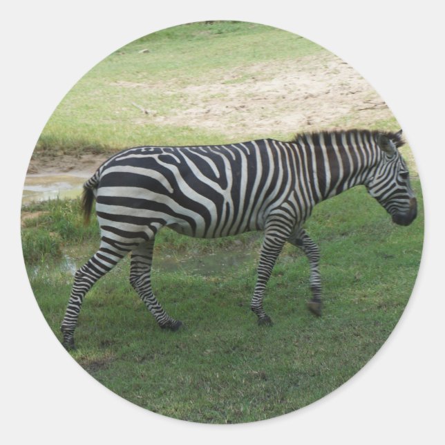 Zebra Stickers (Vorderseite)