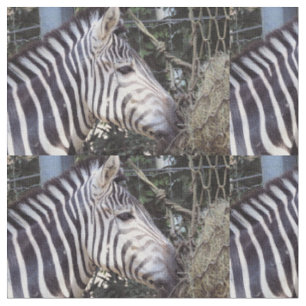 Zebra Stoff