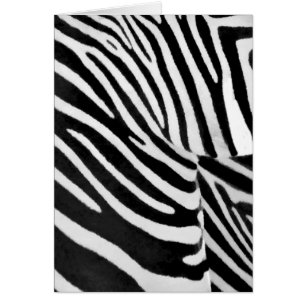 Zebra Streifen#3_