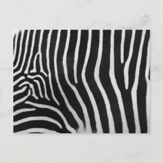 Zebra-Streifen-Muster-Postkarte Postkarte (Vorderseite)