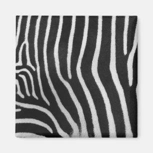Zebra-Streifen-Muster-Quadrat-Magnet Magnet