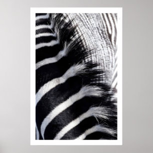 Zebra-Streifen-Wandkunst Moderne Tierdrucke Poster