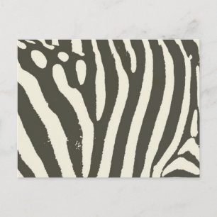 Zebra Stripe Animal Print Muster Postkarte