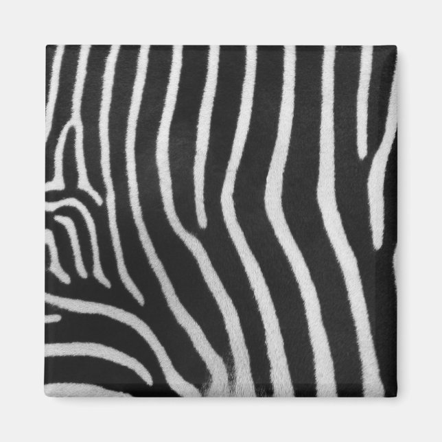 Zebra Stripe Muster Square Magnet (Vorne)