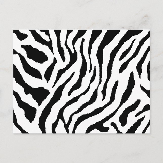 Zebra Striped Postcard Postkarte (Vorderseite)
