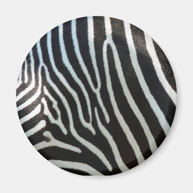 Zebra Stripes Magnet (Vorne)