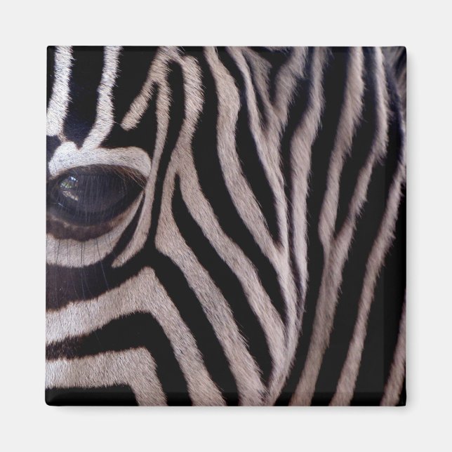Zebra Stripes Magnet (Vorne)