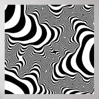 Zebra Stripes