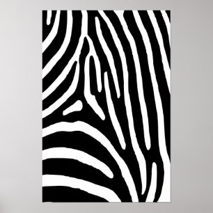 Zebra Stripes Poster