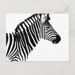 Zebra Stripes Postkarte