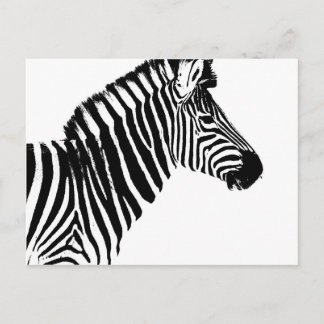 Zebra Stripes Postkarte