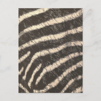 Zebra Stripes Postkarte