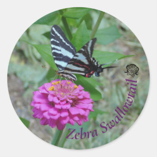 Zebra Swallowtail Runder Aufkleber