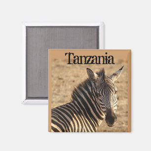 Zebra, Tansania Savannah Magnet