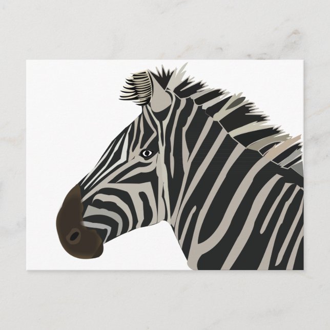Zebra-Tier  Postkarte (Vorderseite)