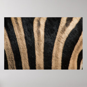 ZEBRA TIERDRUCKSTRIPE POSTER