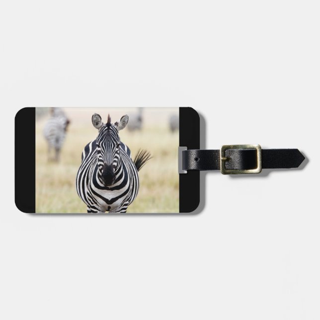 Zebra-Tierfotografie Afrika Safari Gepäckanhänger (Vorderseite horizontal)