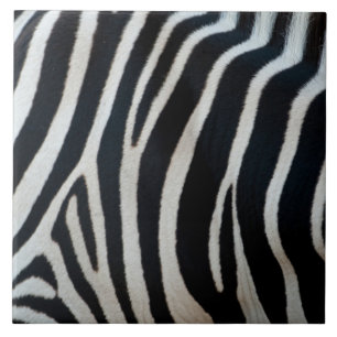 Zebra-Tierhaut-Fell-Textur-Natur-Streifen-Muster Fliese