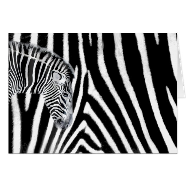 Zebra und es ist Streifen (Vorderseite (Horizontal))