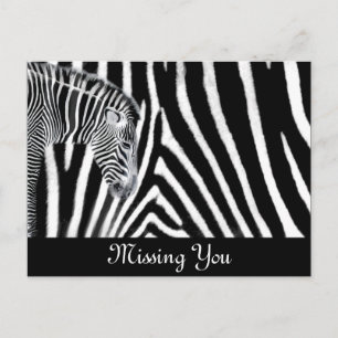Zebra und es ist Streifen Postkarte