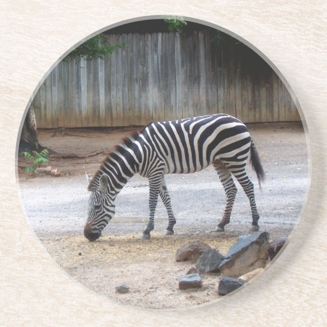 Zebra Untersetzer (Vorne)