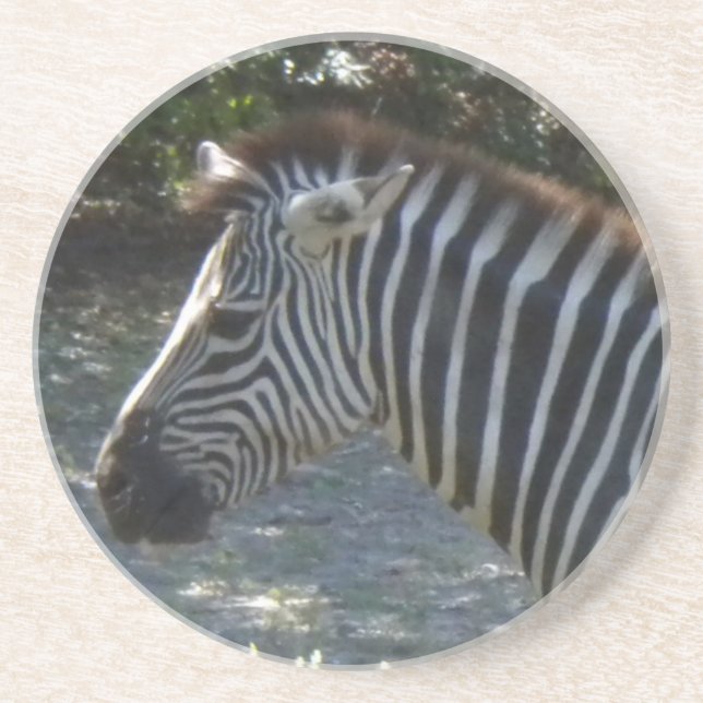 Zebra Untersetzer (Vorne)