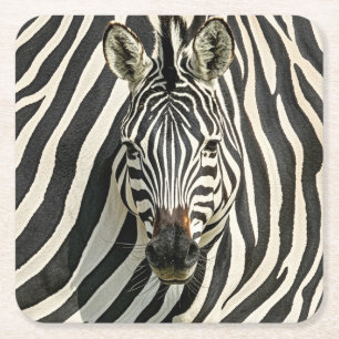 Zebra Untersetzer