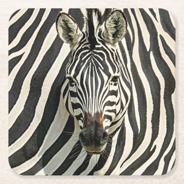 Zebra Untersetzer (Vorderseite)