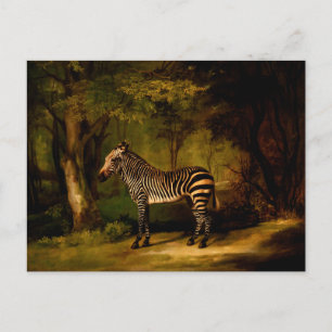 Zebra von George Stubbs (1763) Postkarte