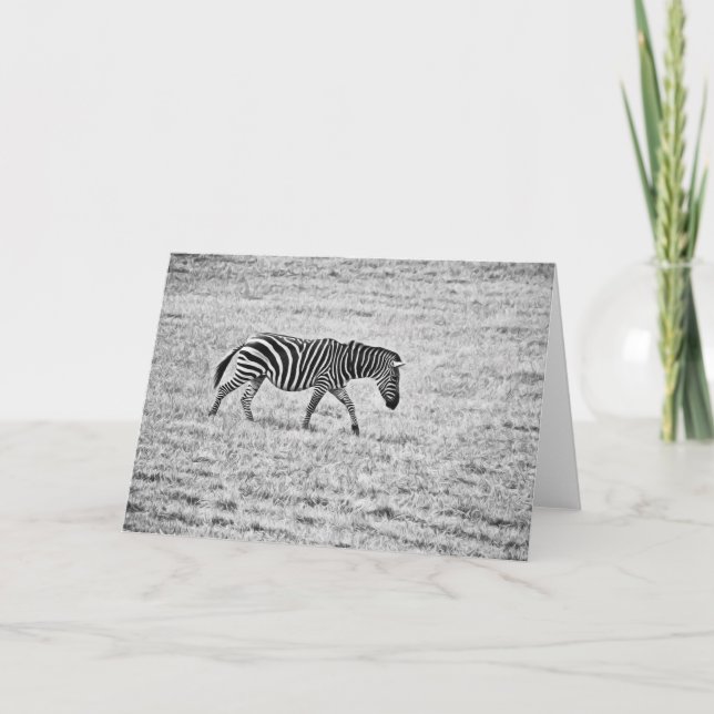 Zebra Walk Blank Note Card Karte (Vorderseite)