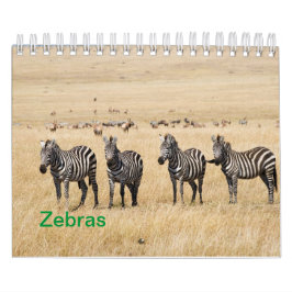 Zebra Wall Calendar Kalender