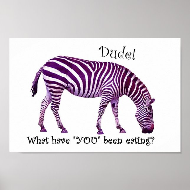 Zebra wieder.... poster (Vorne)
