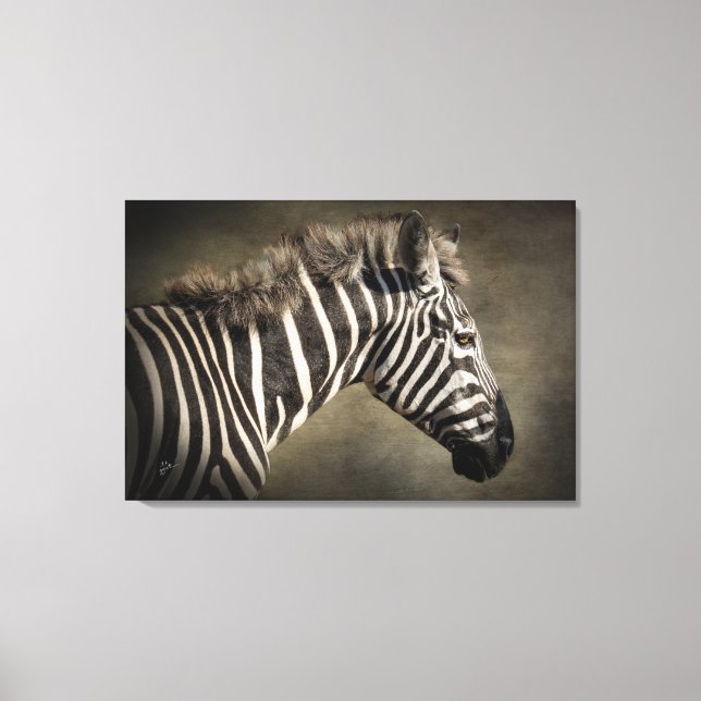 Zebra-Wildlife-Fotokunst Leinwanddruck (Vorderseite)