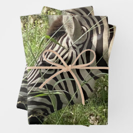 Zebra Wrapping Paper Geschenkpapier Set