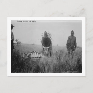 Zebra wurde von Einheimischen in Afrika getötet Fo Postkarte