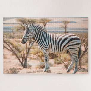 Zebra zu Safari Puzzle