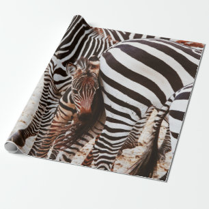 ZEBRAFAMILIE GESCHENKPAPIER