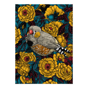 Zebrafinch und Rose Fotodruck