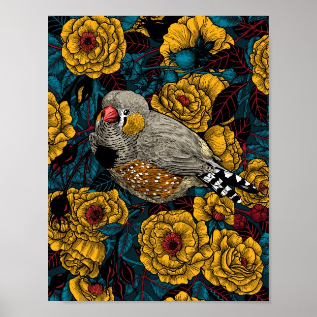Zebrafinch und Rose Poster (Vorne)
