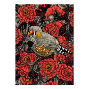 Zebrafink und rote Rosenhecke Fotodruck