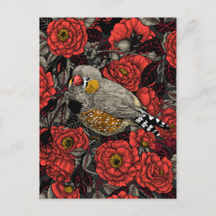 Zebrafink und rote Rosenhecke Postkarte