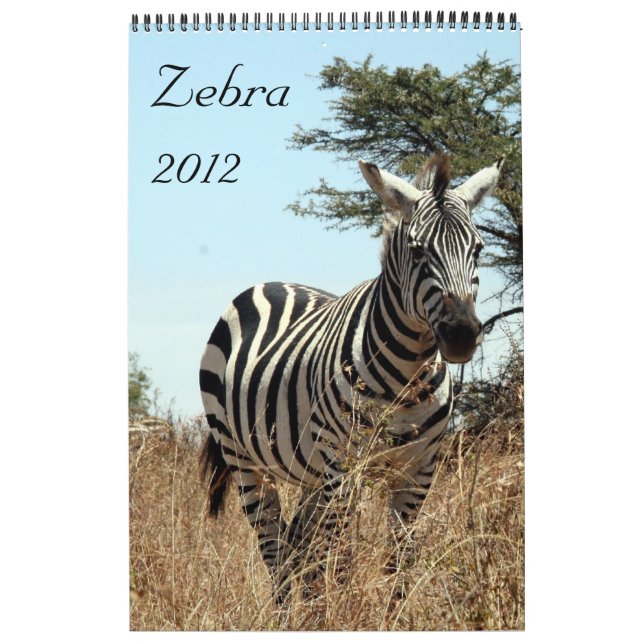 Zebrakalender 2012 kalender (Titelbild)