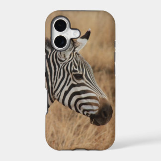 Zebrakopf